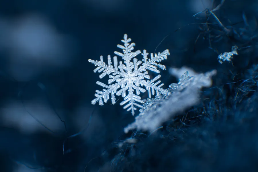 Snowflake pictures