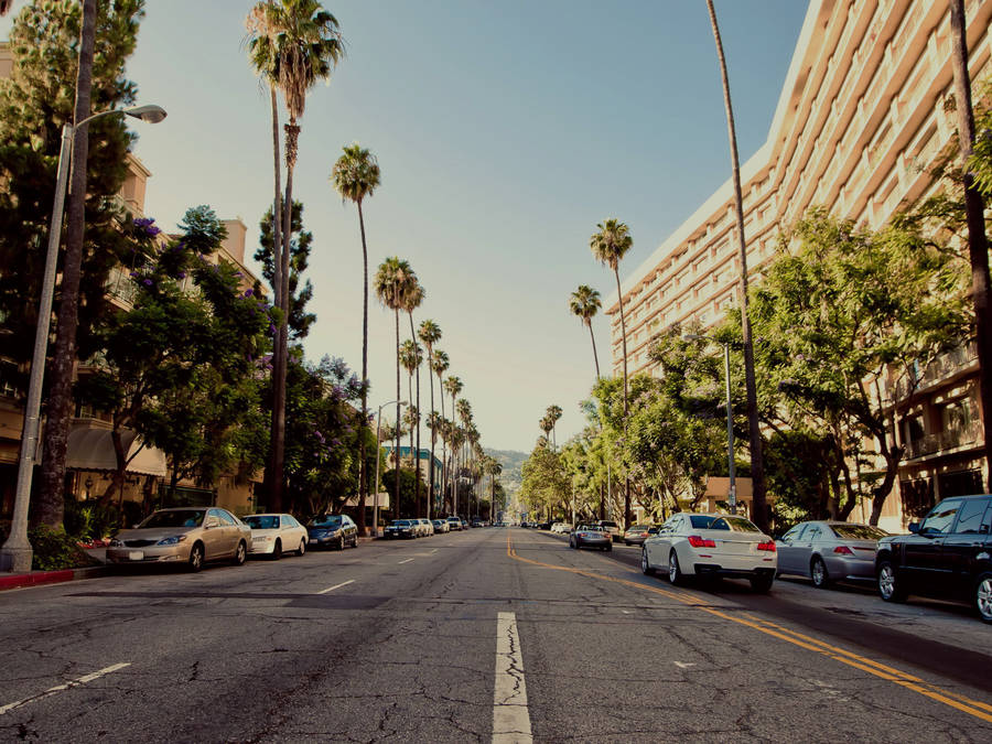 Download Peaceful Hollywood Street Wallpaper 