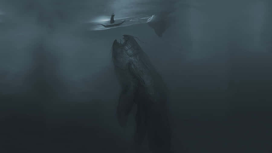  Taustakuvat