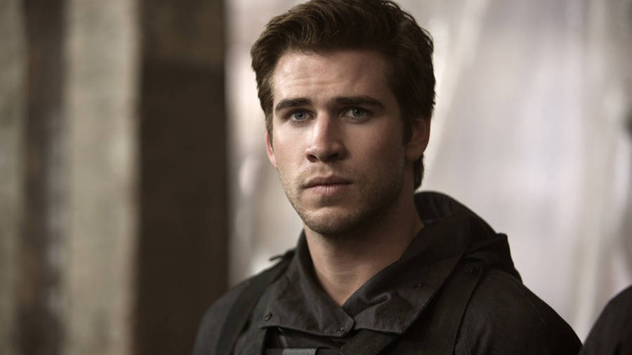 LiamHemsworth Mockingjay del 1 - would be translated to Liam Hemsworth Mockingjay Part 1 in Swedish. When it comes to desktop or mobile wallpaper in Swedish, it would be called skrivbordsunderlägg or mobilbakgrund respectively. So if one wants to say "I have Liam Hemsworth Mockingjay Part 1 as my desktop wallpaper", it would be "Jag har Liam Hemsworth Mockingjay del 1 som mitt skrivbordsunderlägg". Similarly, "I want to download Liam Hemsworth Mockingjay Part 1 as my mobile wallpaper" would translate to "Jag vill ladda ner Liam Hemsworth Mockingjay del 1 som min mobilbakgrund".