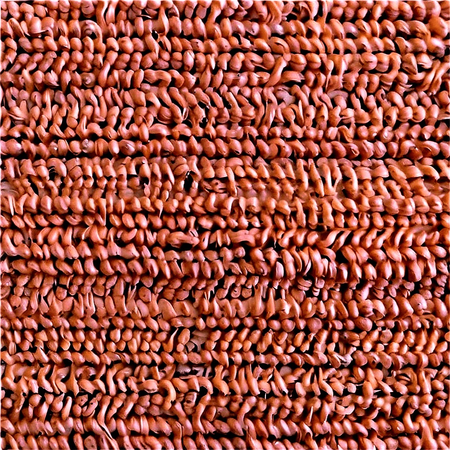 Beige Carpet Texture PNG 06292024