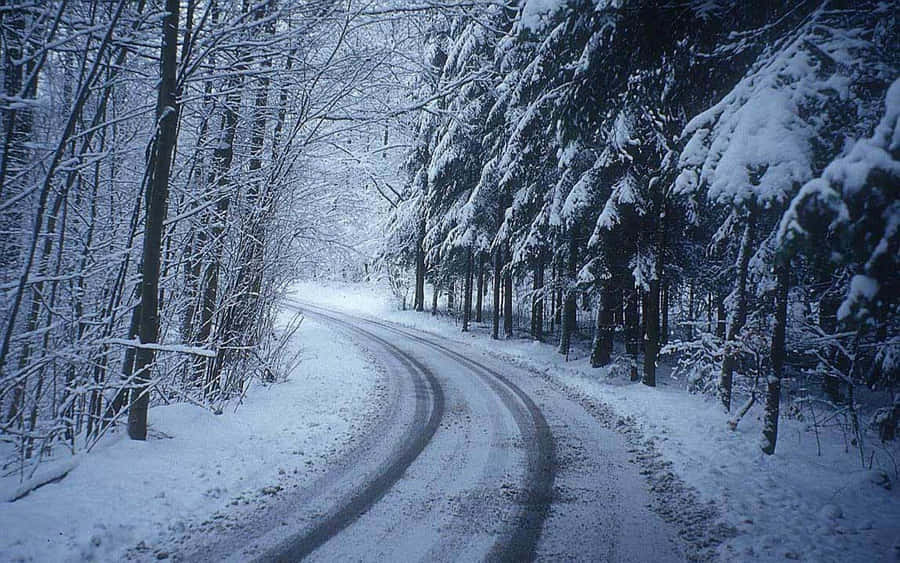 Stradaghiacciata che si mescola con il paesaggio innevato
