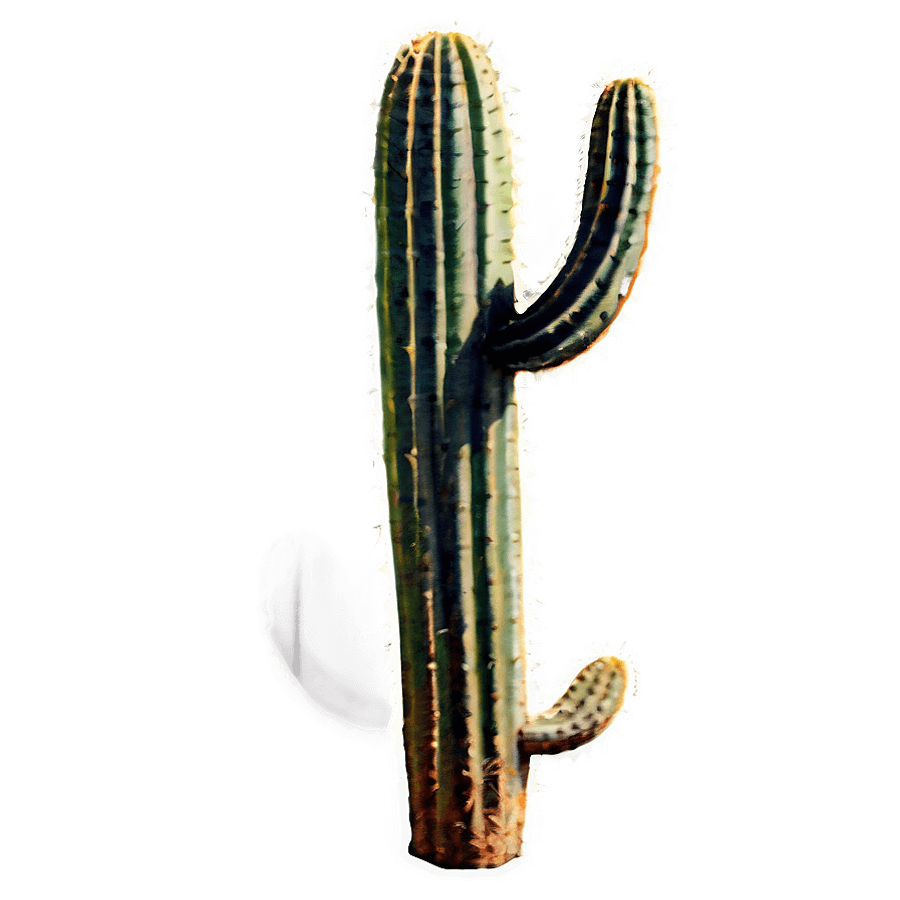 Desert Cactus PNG rmc70