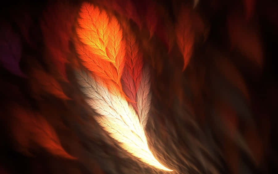 Phoenix background