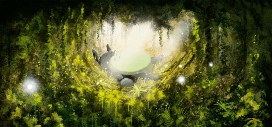 mitnabo totoro 1500 x 701 tapet