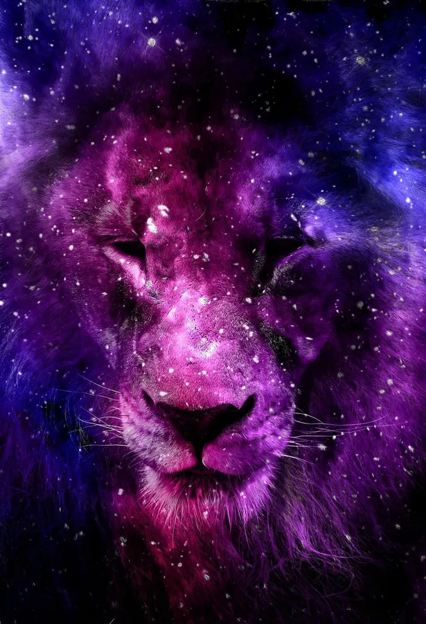 A gorgeous galaxy lion wallpaper showcasing a lion's face with digital art of pink and purple gradient galaxy overlay.