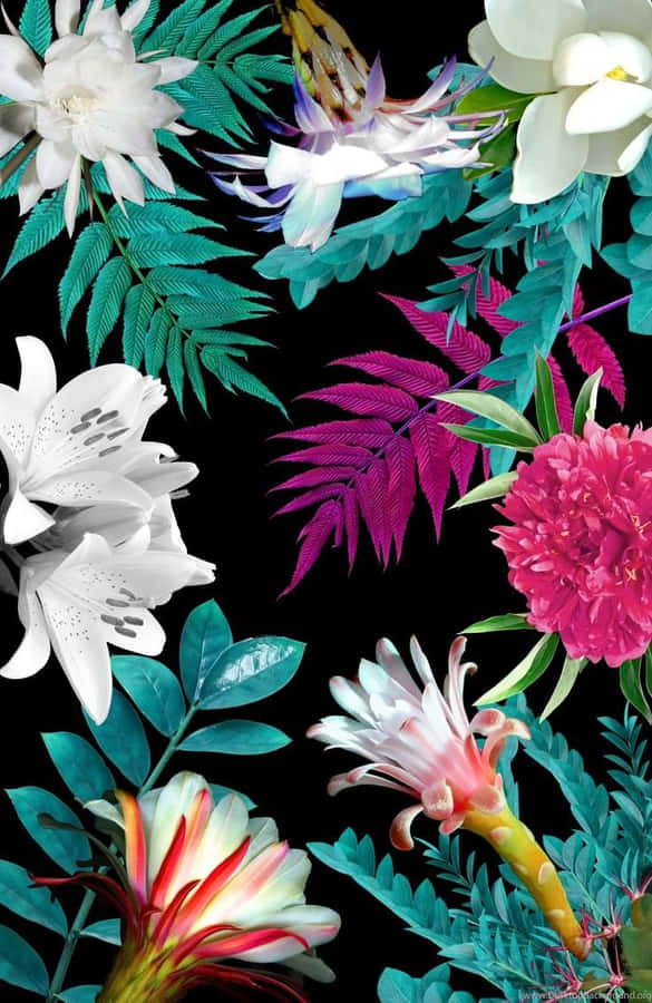 Pinterest Background