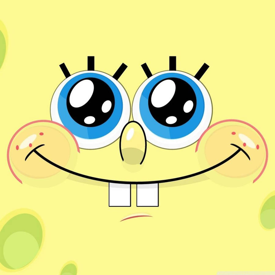 Sweet and pity look image of Spongebob