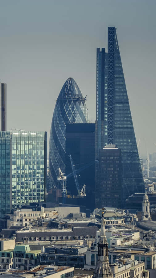Foggy Gherkin And Other Skyscrapers