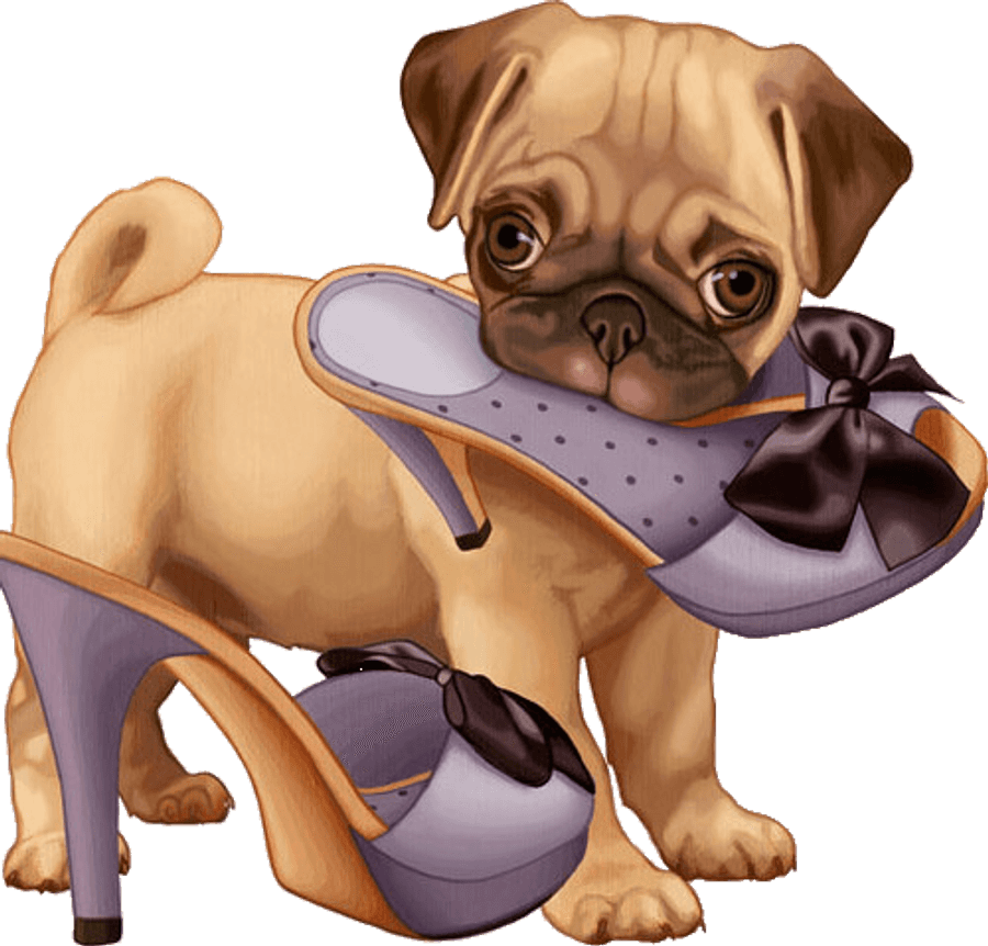 Puppy With Shoe Illustration