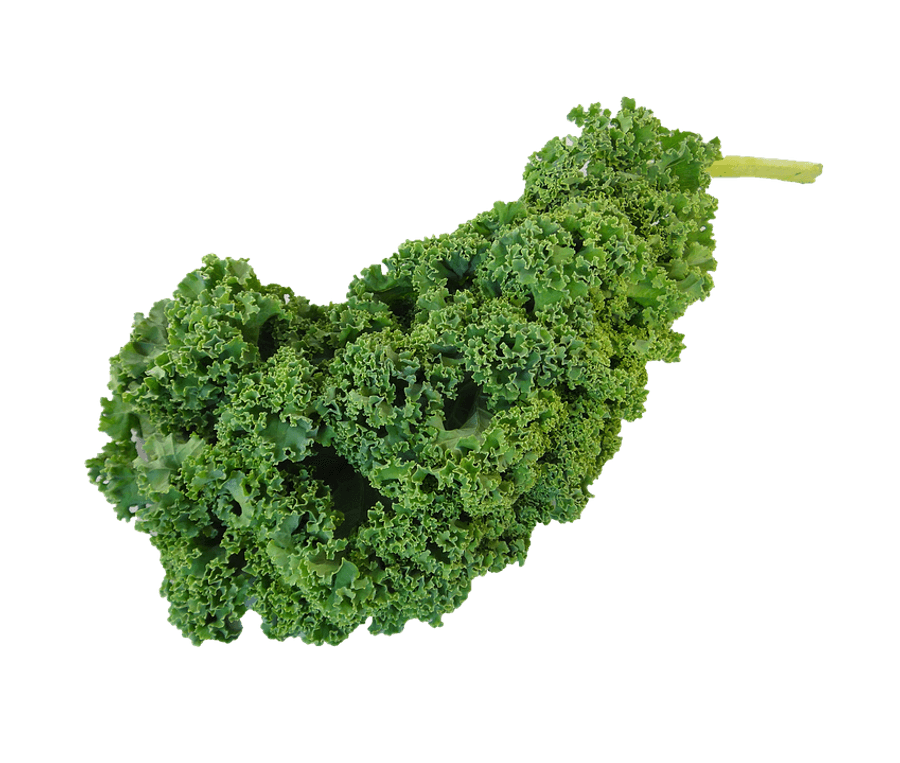 Fresh Curly Kale Leaf