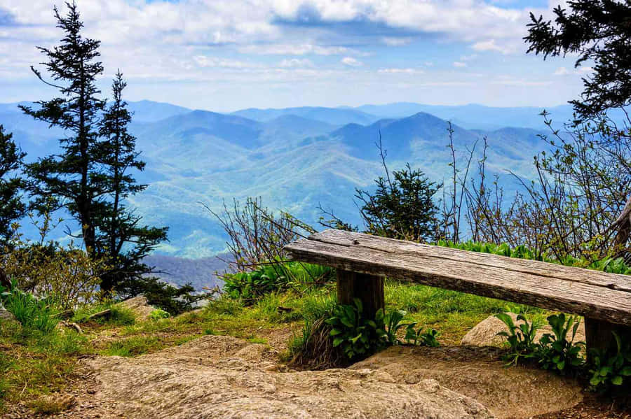 Mountain View-billeder 1500 x 999
