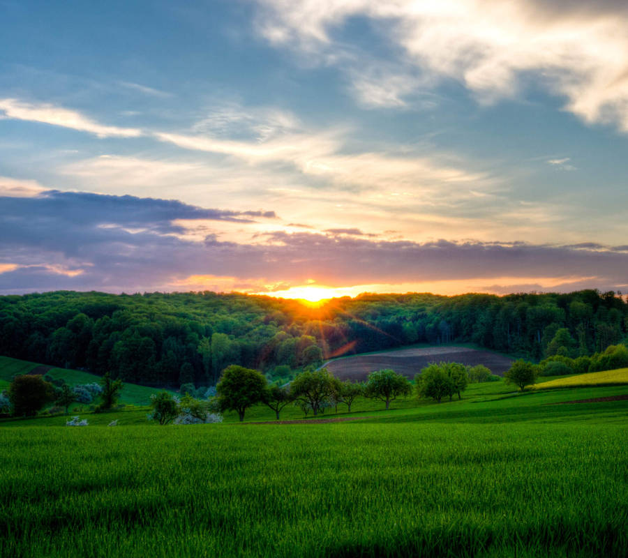 Download Plains In Sunset Image Wallpaper | Wallpapers.com