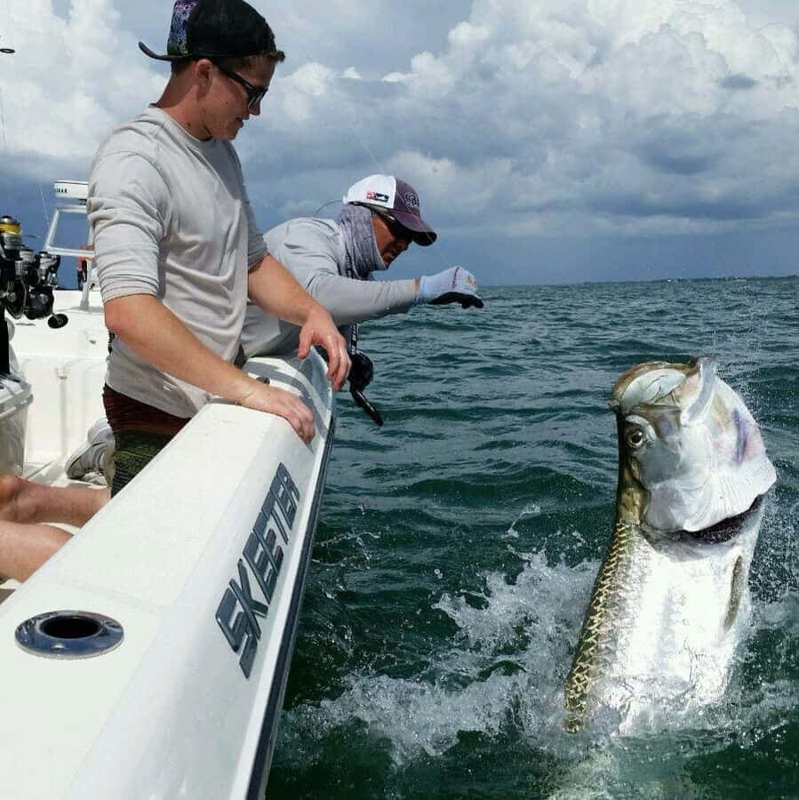 Pescatori che catturano tarpon