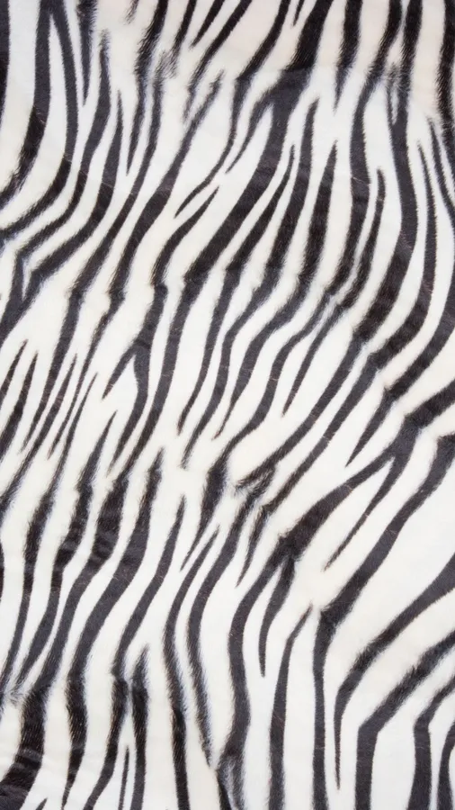 Pattern Background
