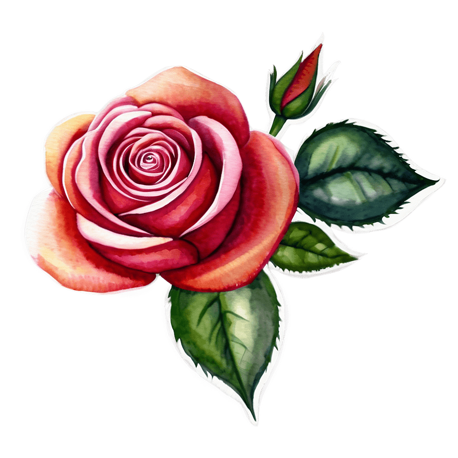 Red Roses Watercolor PNG 06112024