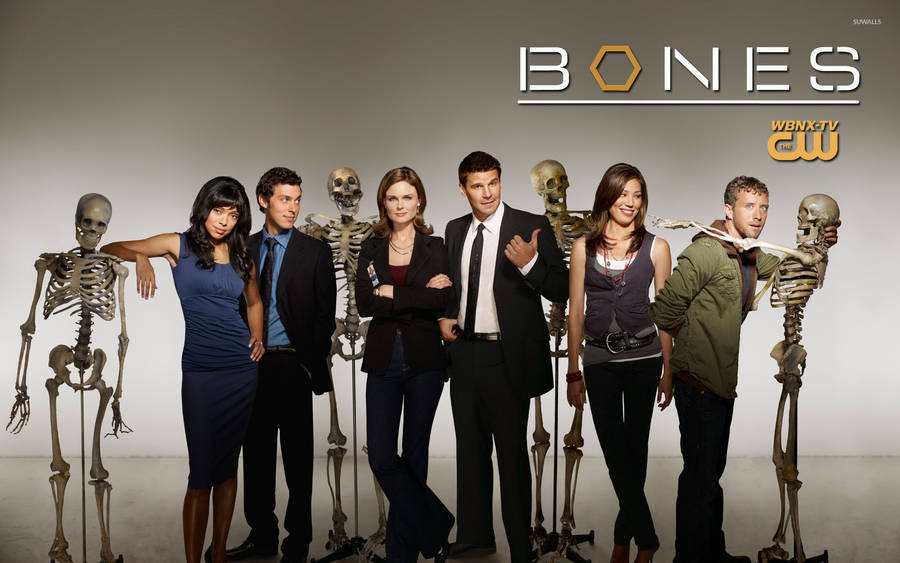 Poster of tv show Bones wallpaper
