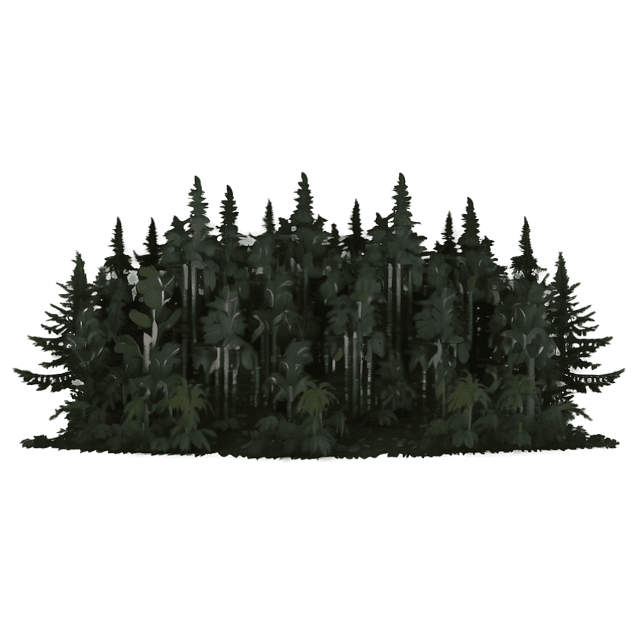 Dark Forest Fantasy PNG 98