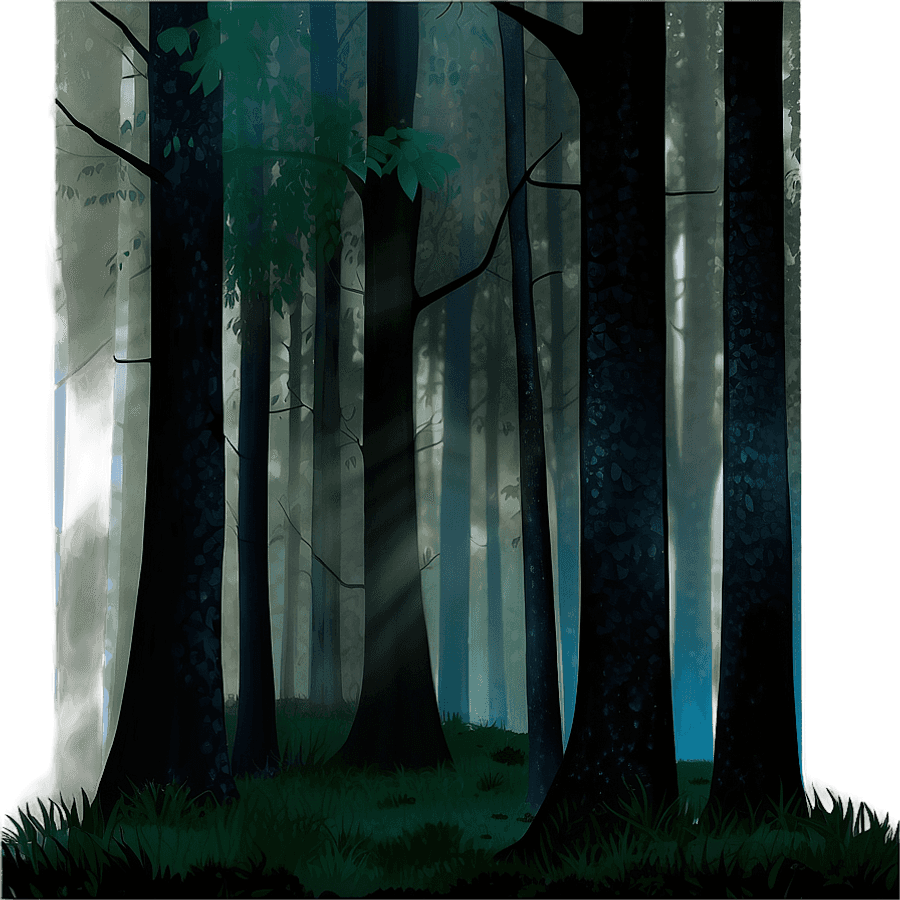 Misty Dark Forest PNG 06232024