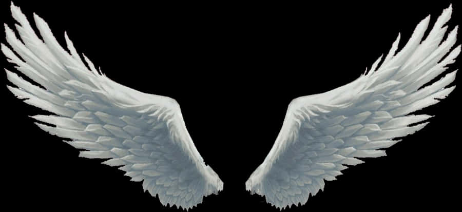 Wings Png Photo Background - Angel Wings, Transparent Png