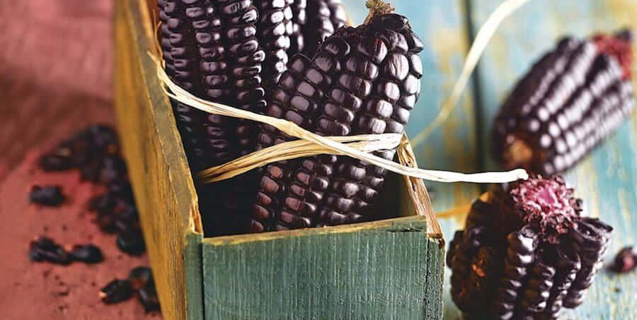 Desfrutedo sabor rico e rubelitamente roxo do milho roxo