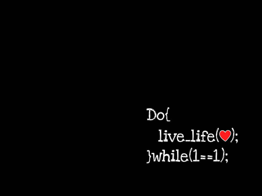 Programming Hd