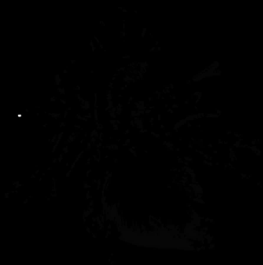 Dark Heart Shaped Tree Under Night Sky