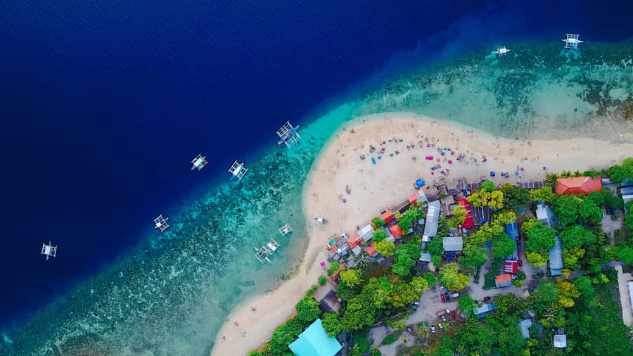 Vista Aerea di una Spiaggia Tropicale