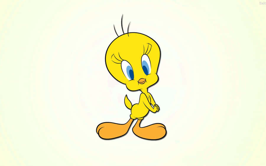 "Issoé tudo, pessoal!"