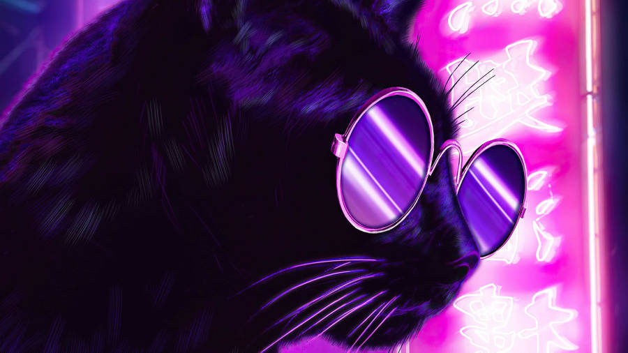 Download Purple Aesthetic Black Cat Wallpaper | Wallpapers.com