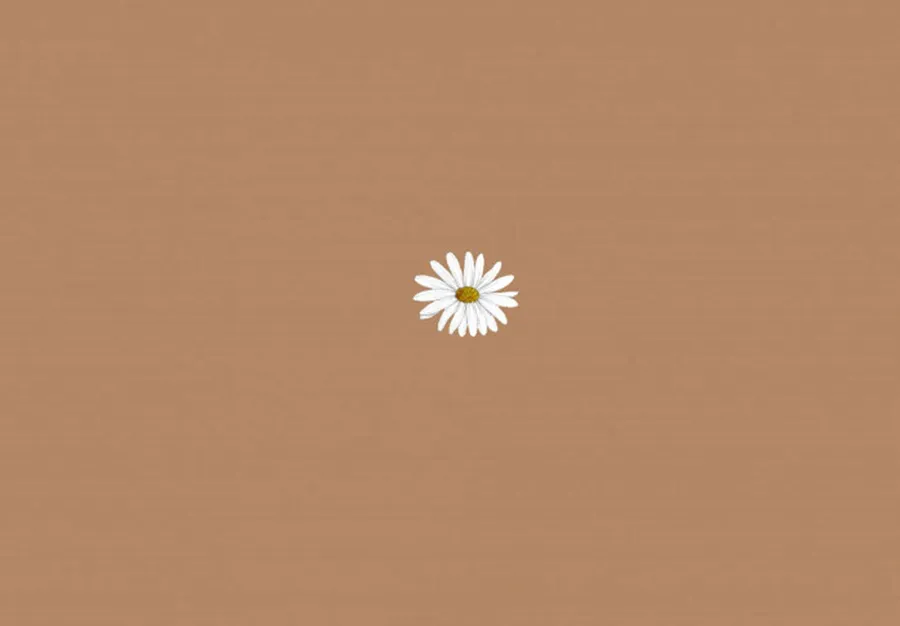 Brown Aesthetic background