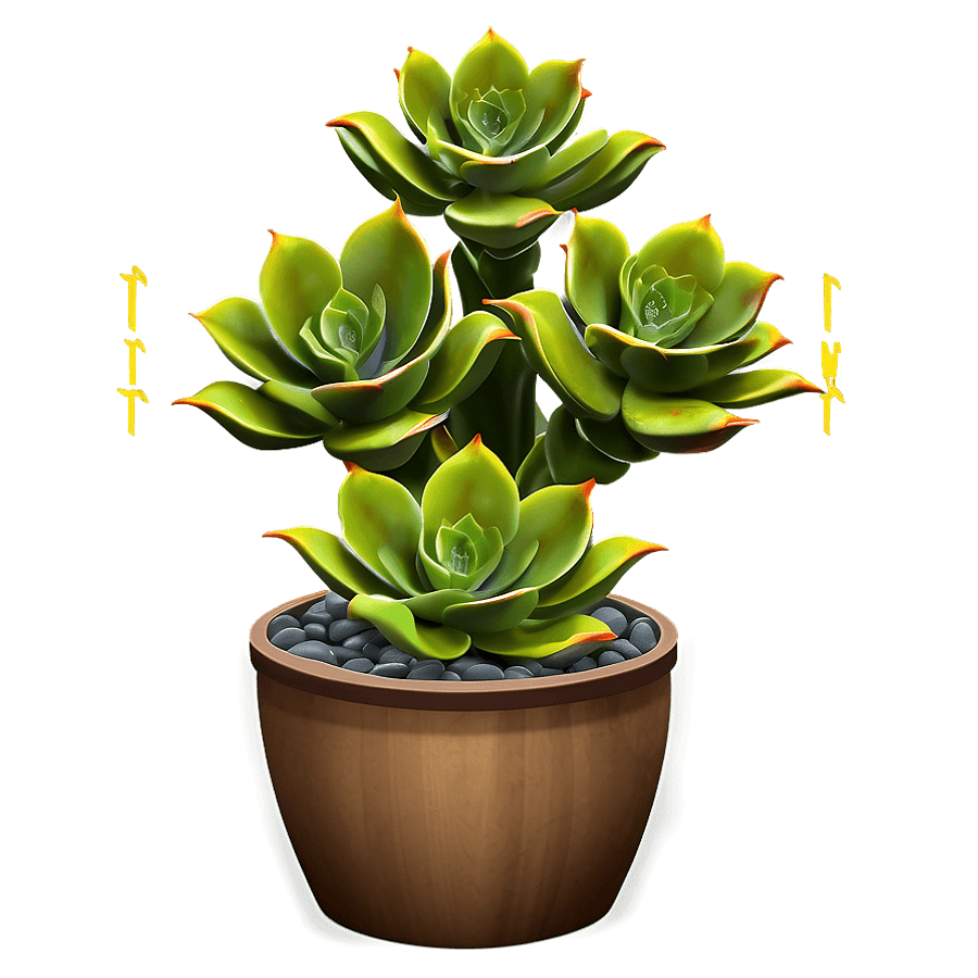 Tall Succulent Plant PNG 65