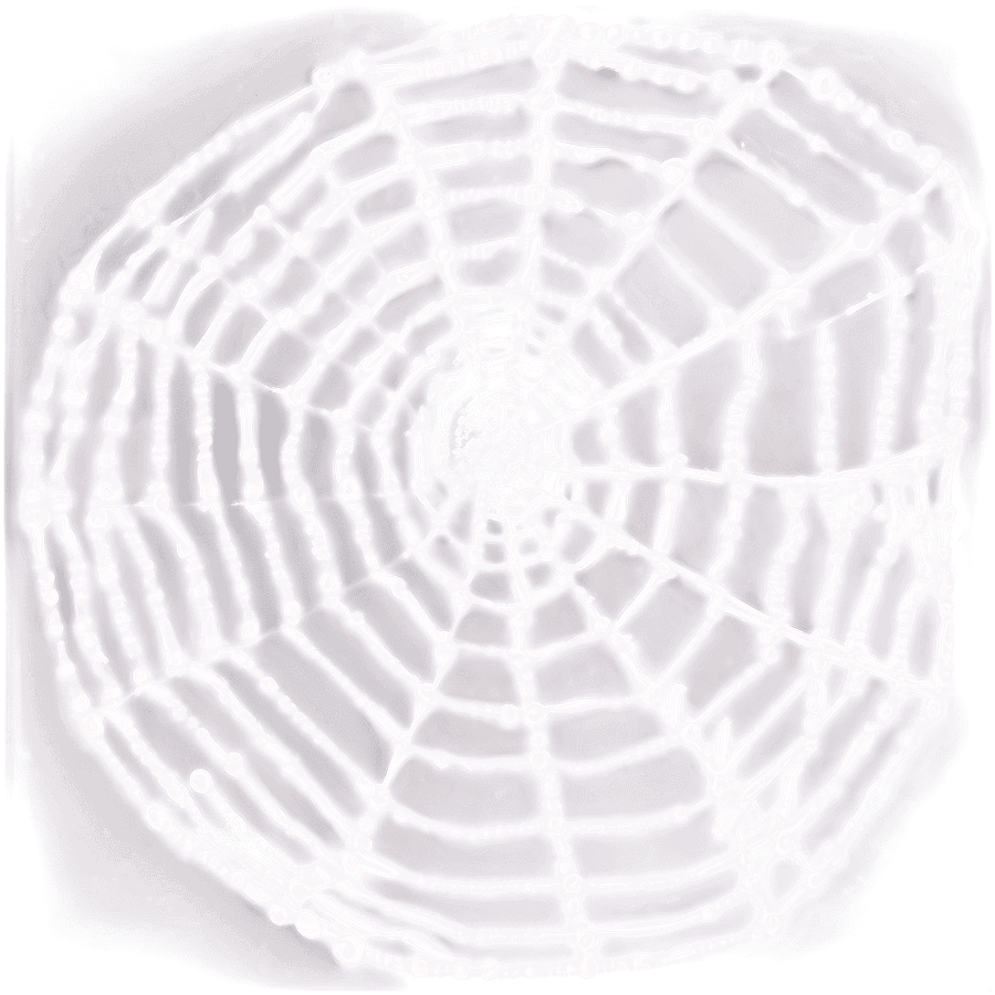 Mysterious Cobweb in Fog PNG 05262024