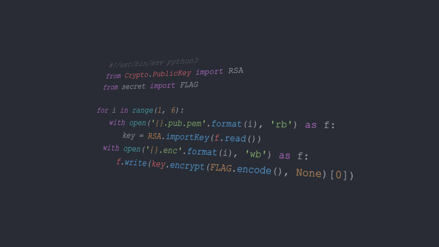 Python Program Koding Bakgrunner