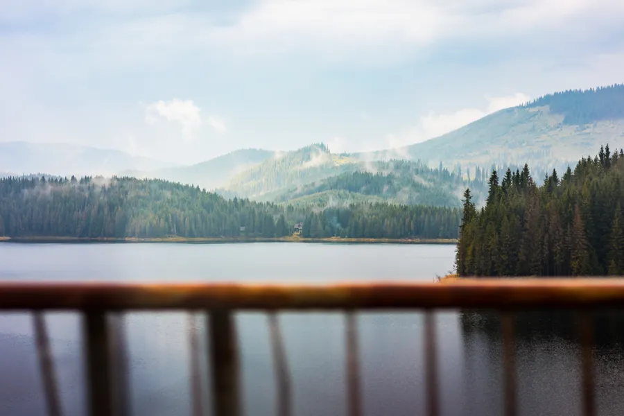 Download Scenic View of Lake and Foggy Forest Seen Through Car Window FREE Stock Photo
