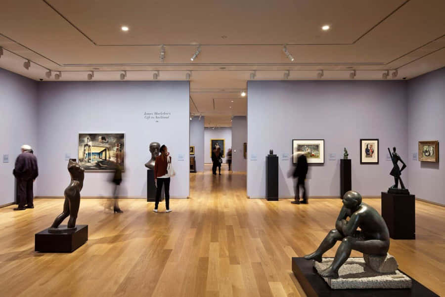 Auckland Kunstgalleri Indvendig Udsigt