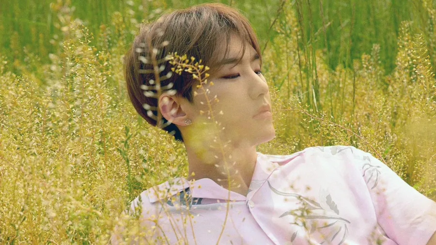 Hoshi side view wallpaper