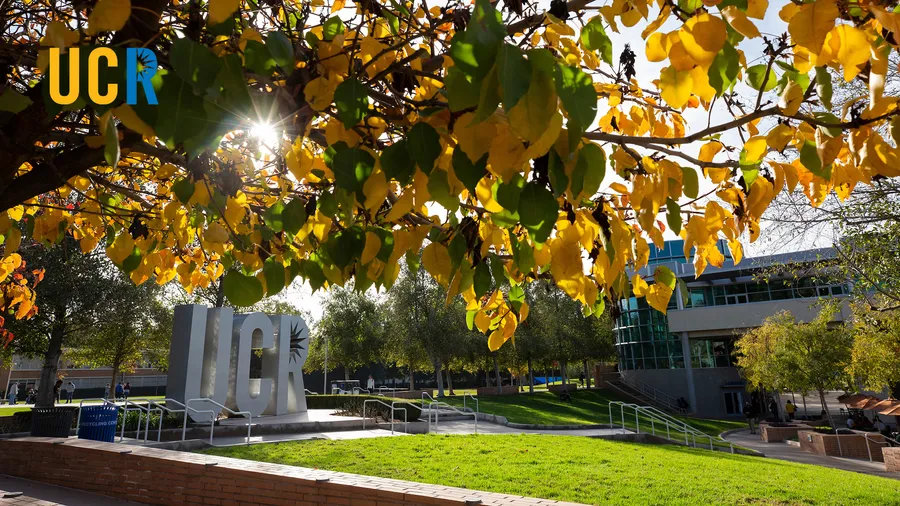 UCR Foliage