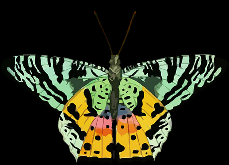 Colorful_ Abstract_ Butterfly_ Art