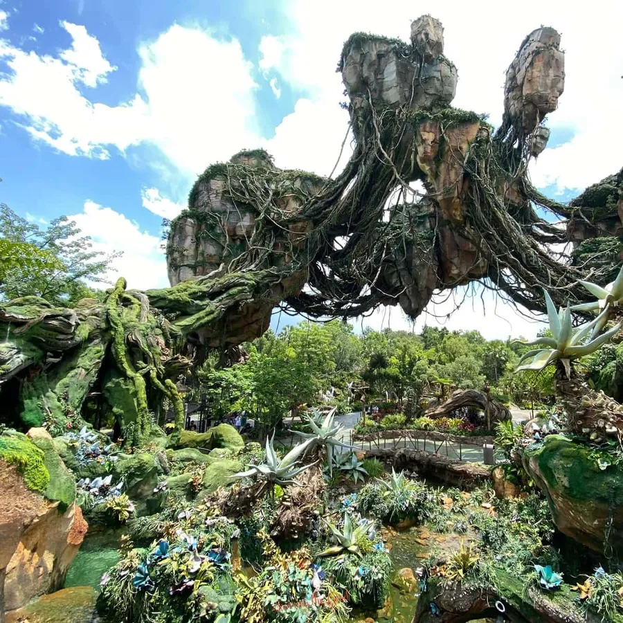 Pandora background