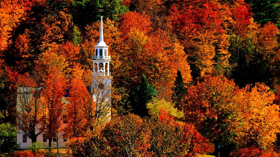 Fall Colors