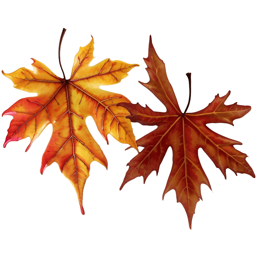 Maple Autumn Leaves PNG mwq52