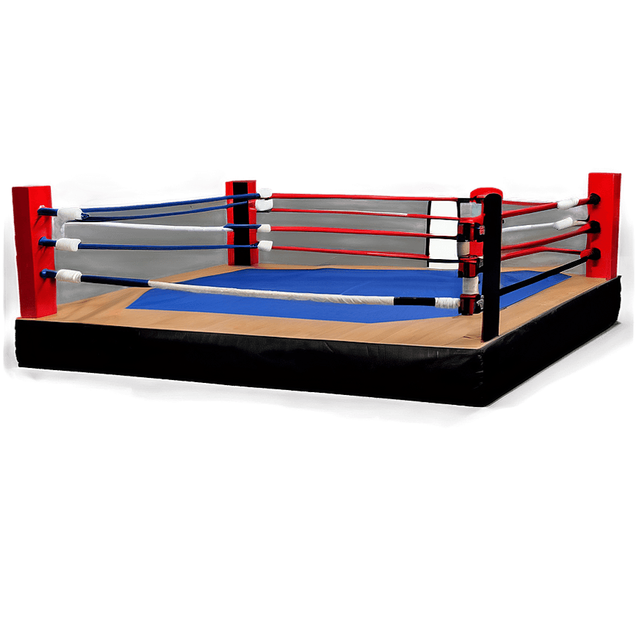 DIY Boxing Ring Project PNG 61