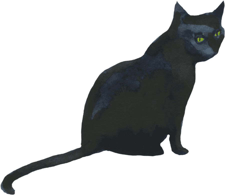 Mystic Black Cat Green Eyes