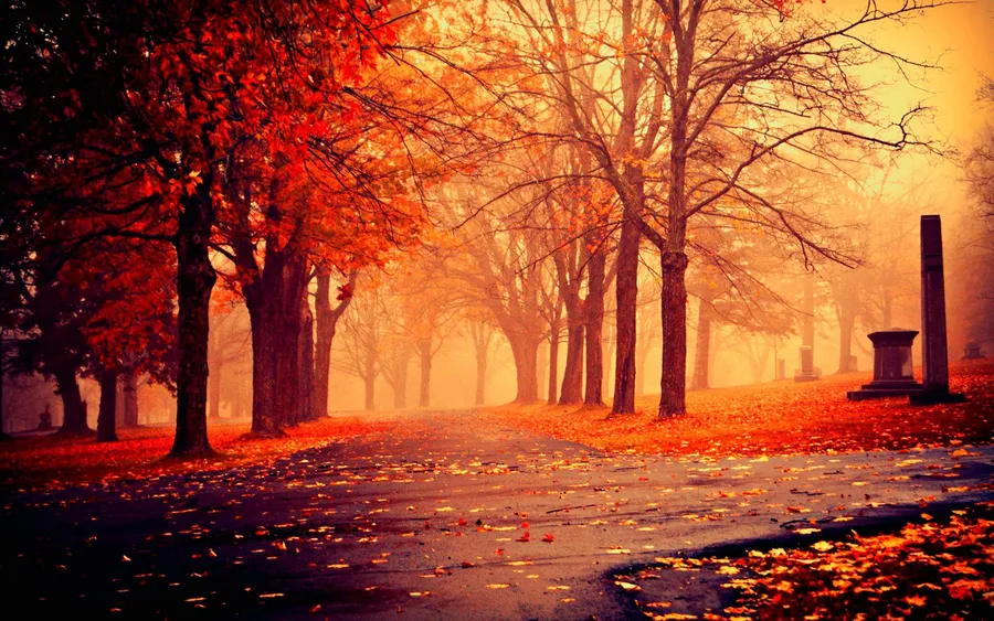 Cool Fall