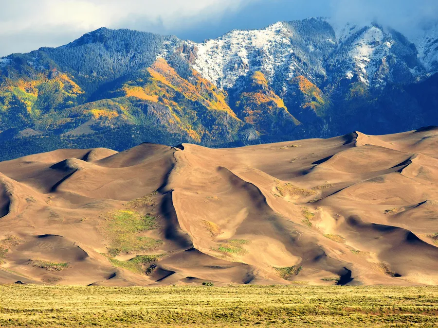 Dune Background
