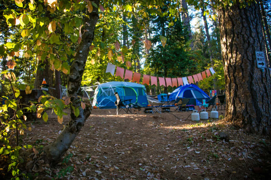 HerbstCamping 1030 x 687 Hintergrundbild