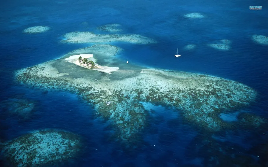 Bermuda Reef Island wallpaper.