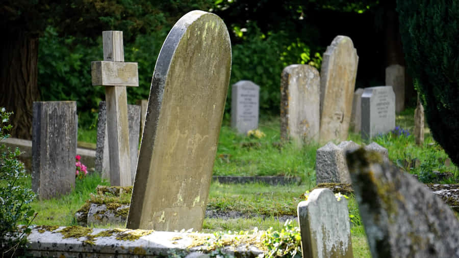 FriedhofHintergrund