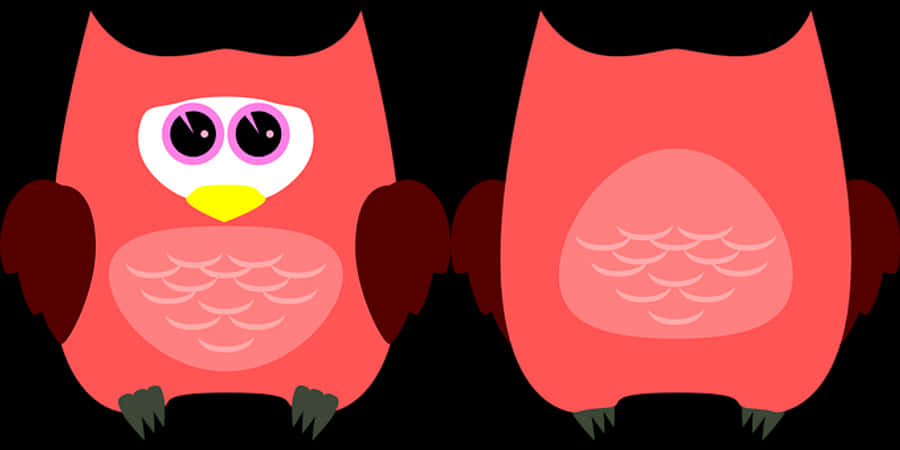 Cartoon Owl Twin Image
